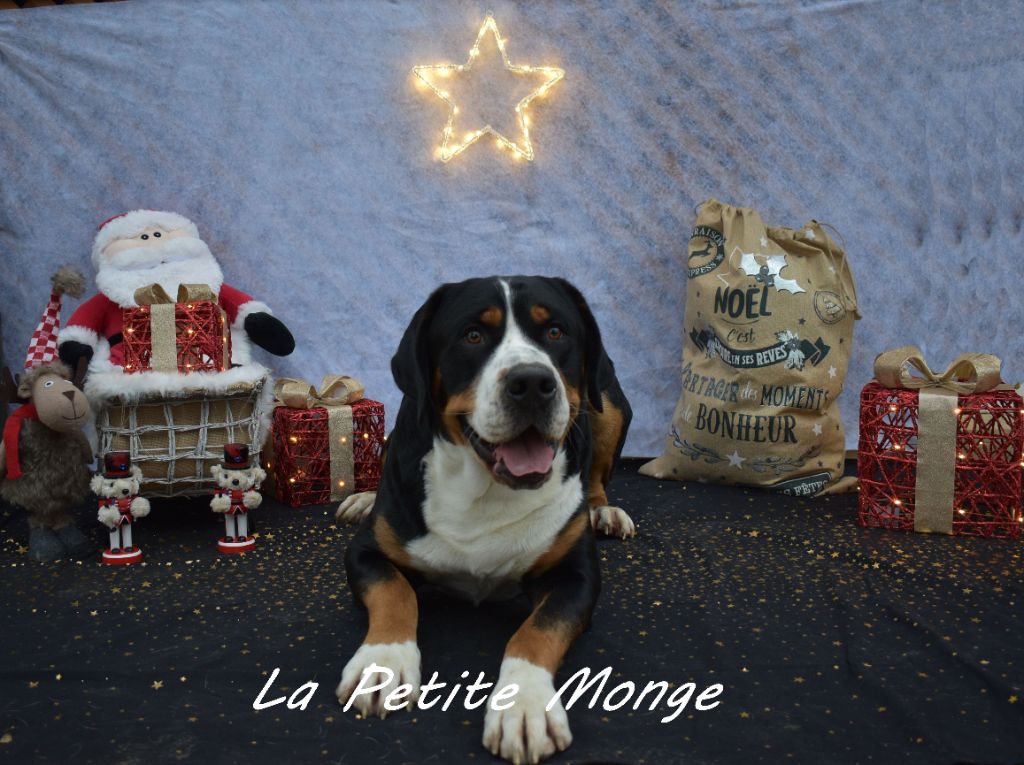 De La Petite Monge - Joyeuses Fetes