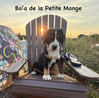 Baïa de La Petite Monge