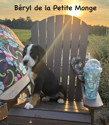 Béryl de La Petite Monge