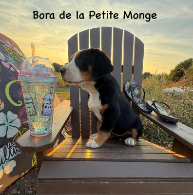 Bora de La Petite Monge